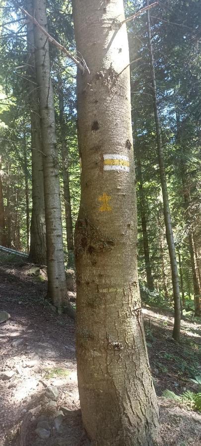 Gosciniec Dziubasowki Villa Nowy Targ Exteriör bild