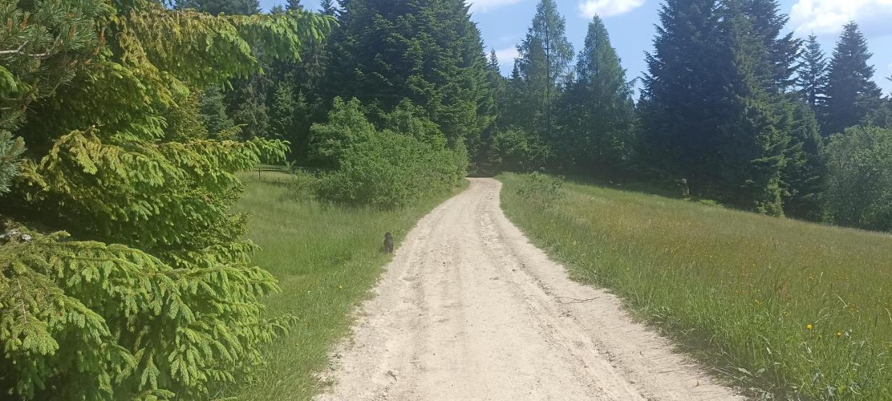 Gosciniec Dziubasowki Villa Nowy Targ Exteriör bild