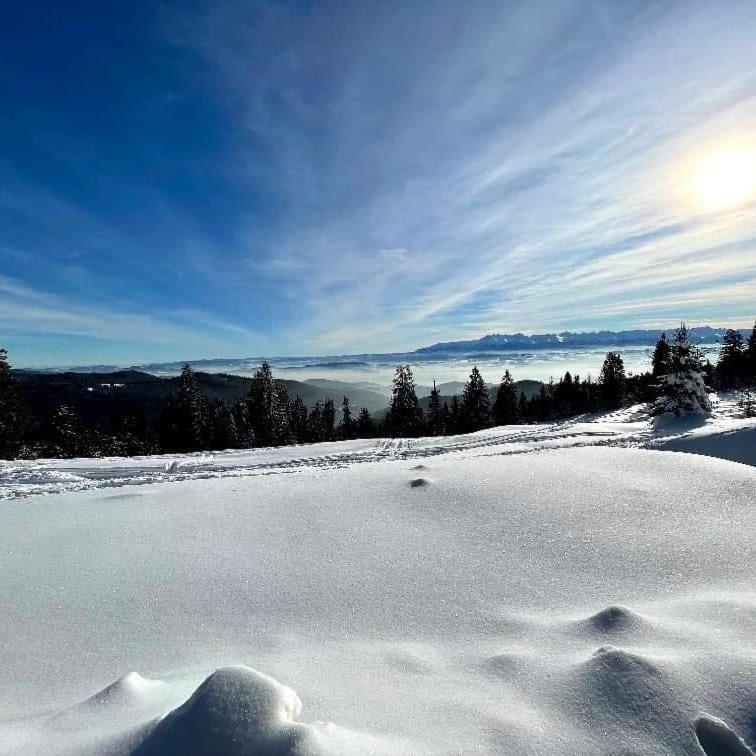 Gosciniec Dziubasowki Villa Nowy Targ Exteriör bild