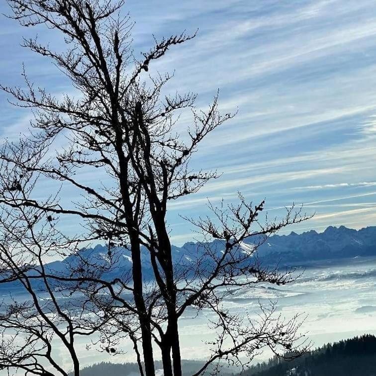 Gosciniec Dziubasowki Villa Nowy Targ Exteriör bild