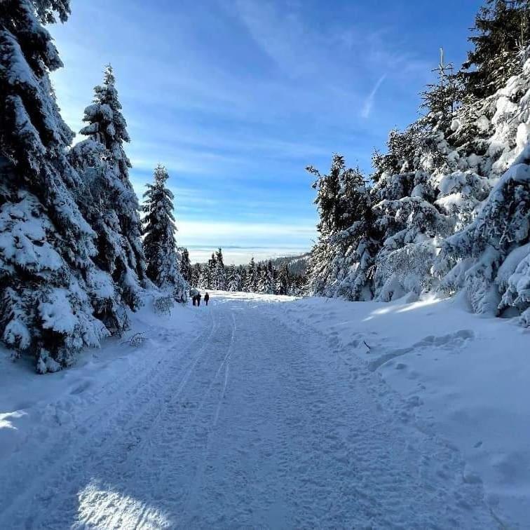 Gosciniec Dziubasowki Villa Nowy Targ Exteriör bild