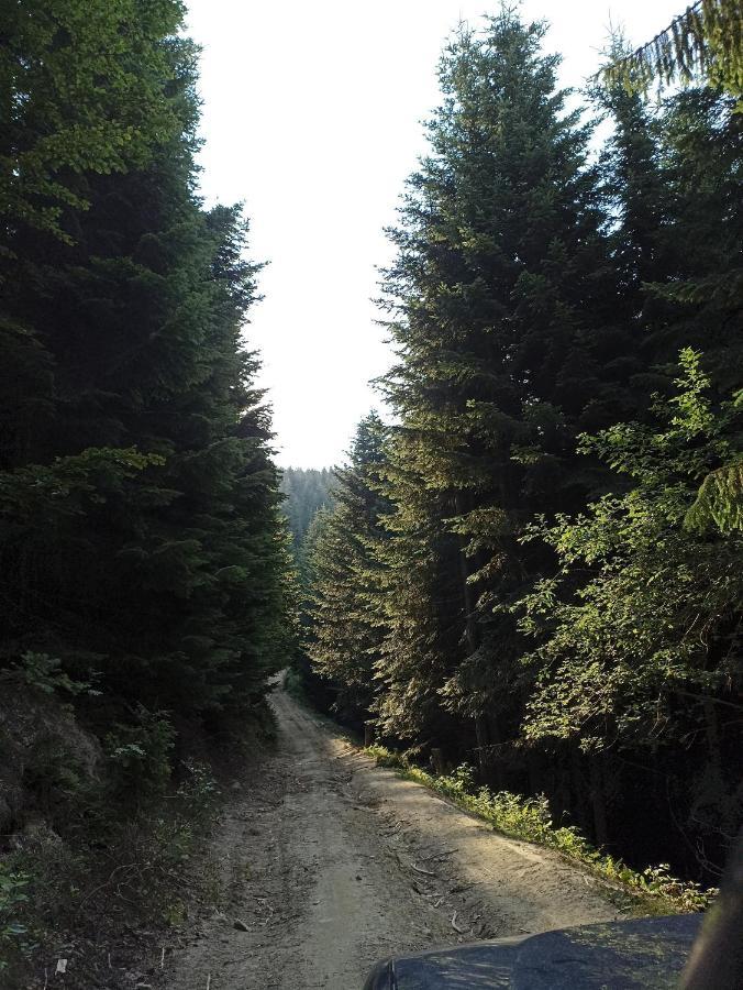 Gosciniec Dziubasowki Villa Nowy Targ Exteriör bild