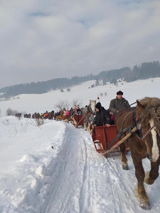 Gosciniec Dziubasowki Villa Nowy Targ Exteriör bild