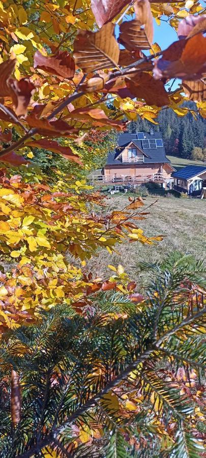 Gosciniec Dziubasowki Villa Nowy Targ Exteriör bild