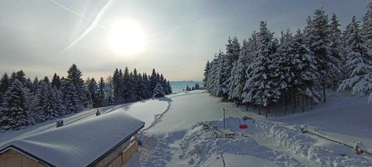 Gosciniec Dziubasowki Villa Nowy Targ Exteriör bild