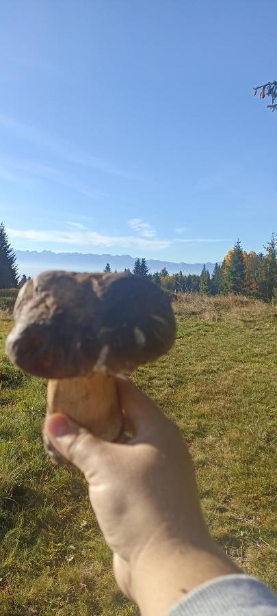 Gosciniec Dziubasowki Villa Nowy Targ Exteriör bild