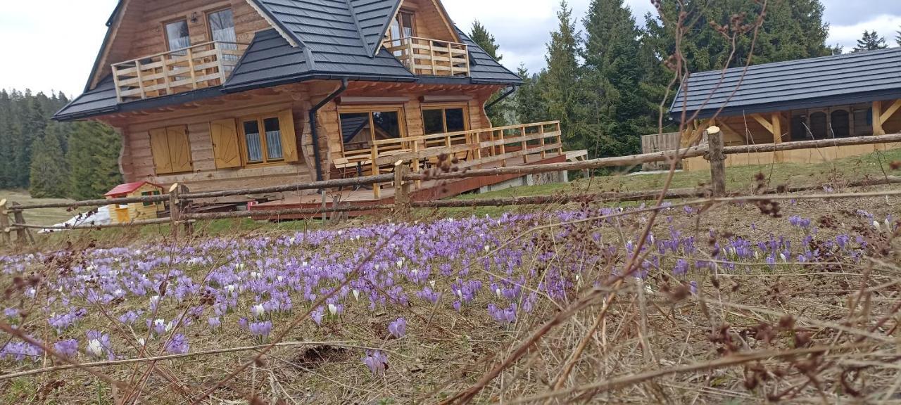 Gosciniec Dziubasowki Villa Nowy Targ Exteriör bild