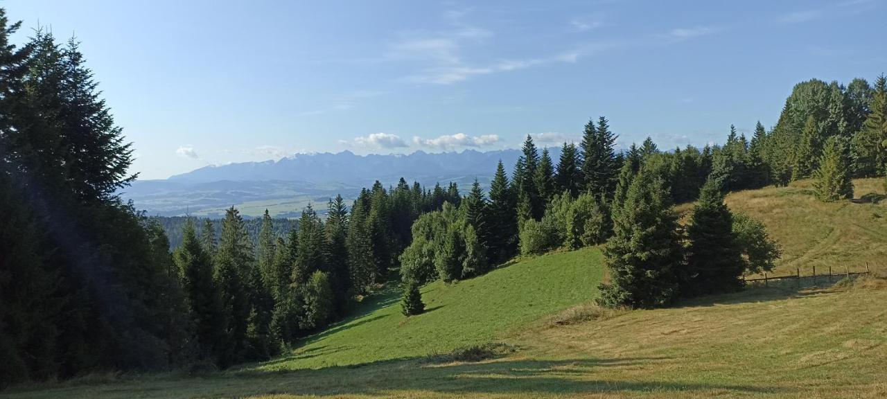 Gosciniec Dziubasowki Villa Nowy Targ Exteriör bild